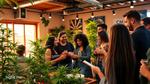 Discover Hella High Club Cannabis Culture